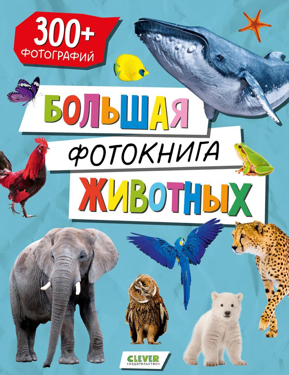 Большая фотокнига животных