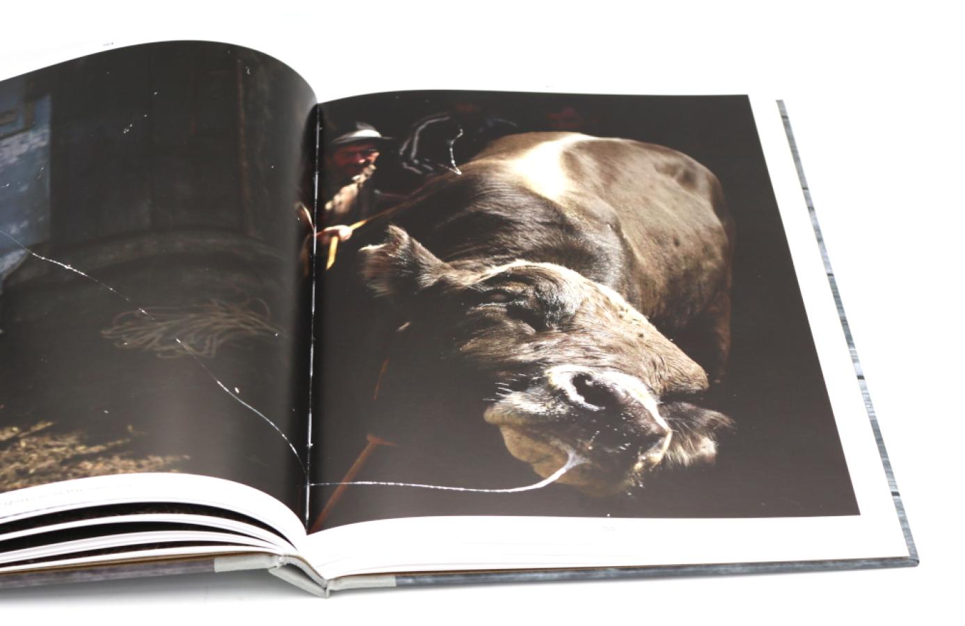 Родина. В 2-х томах