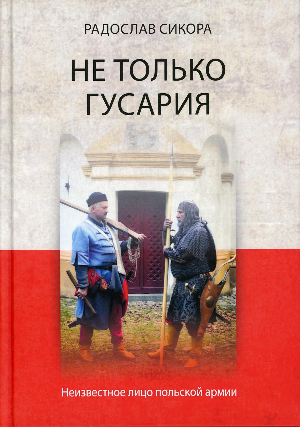 Не только гусария. Неизвестное лицо польской армии