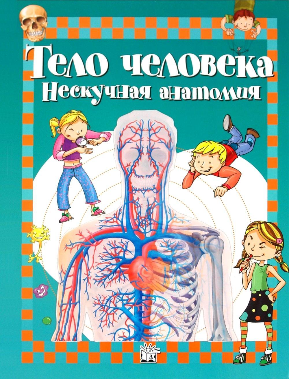 Тело человека. Нескучная анатомия