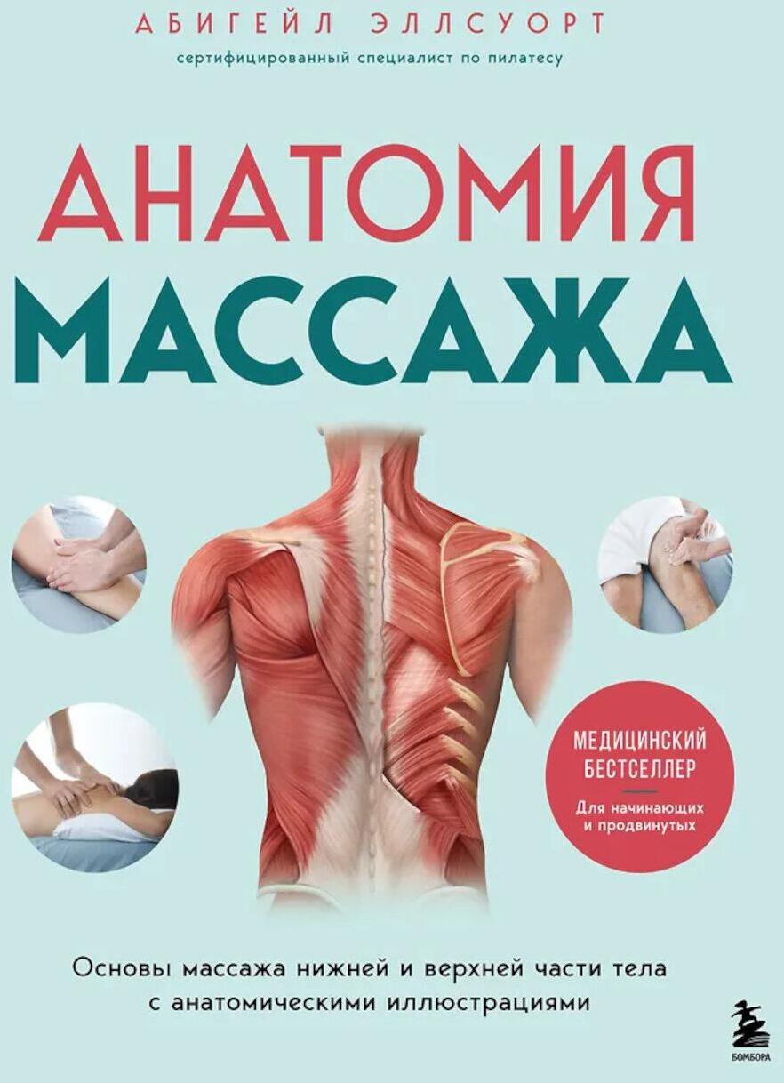 Анатомия массажа. Основы массажа нижней и верхней части тела с анатомическими иллюстрациями