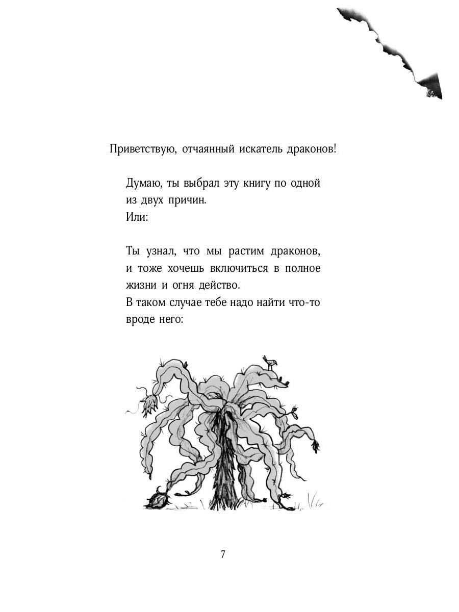 Книга «Мальчик, который воспитывал драконов» (Шеферд Энди) — купить с  доставкой по Москве и России