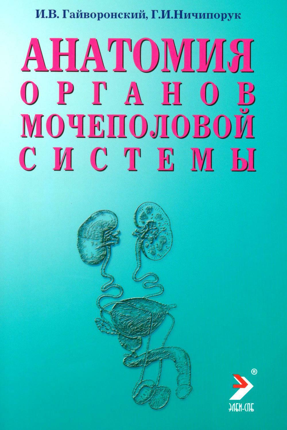 Анатомия органов мочеполовой системы: Учебное пособие. 12-е изд., перераб. и доп