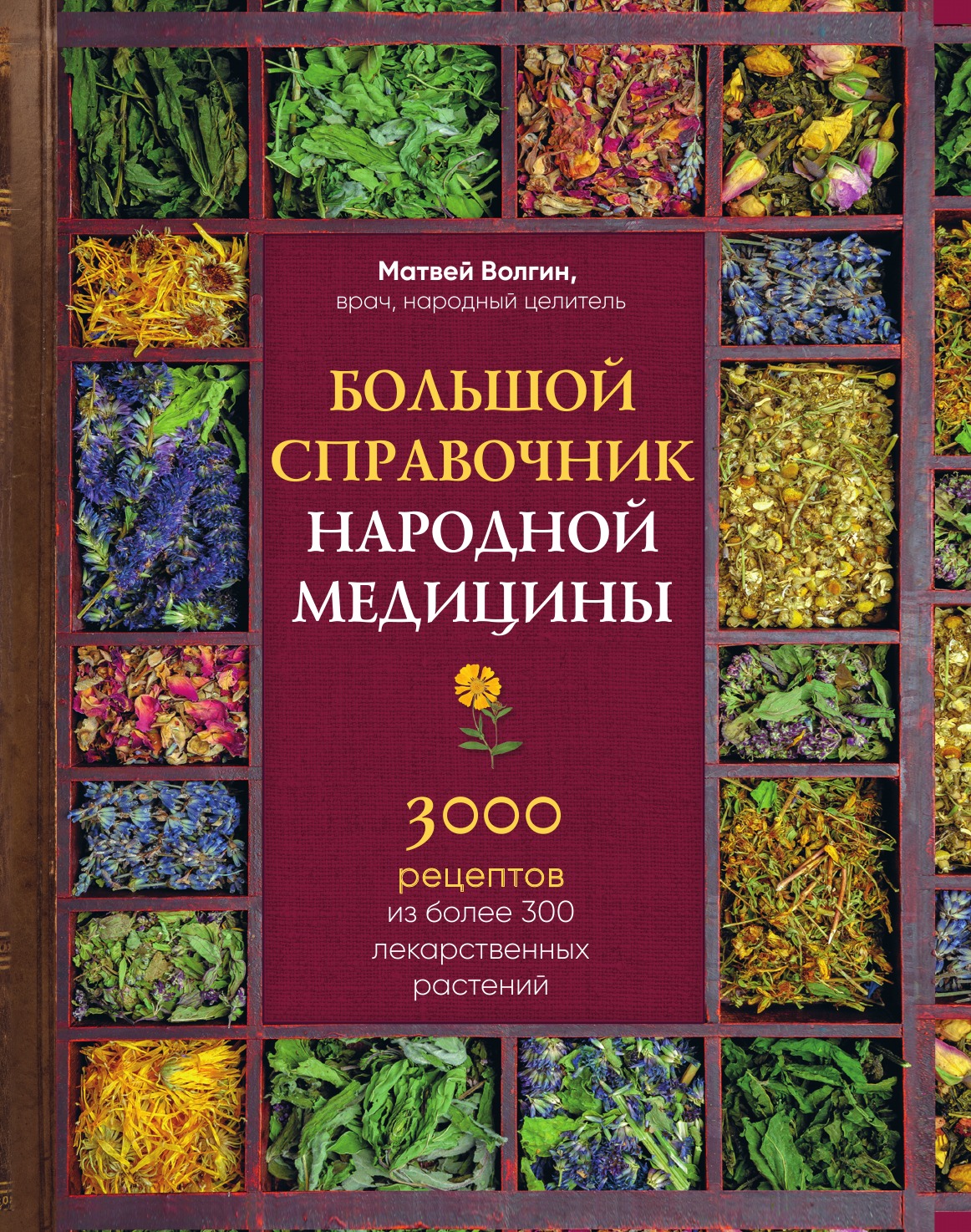 Большой справочник народной медицины. 3000 рецептов из более 300 лекарственных растений