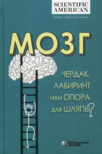 Мозг: чердак, лабиринт или опора для шляпы?