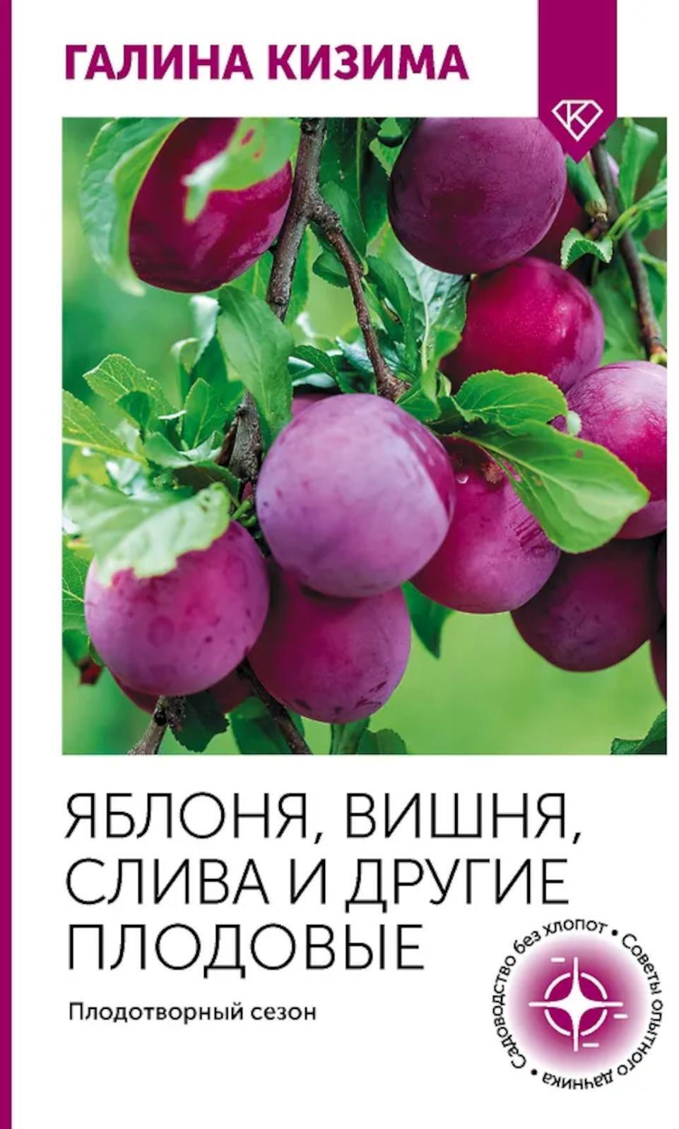 Яблоня, вишня, слива и другие плодовые. Плодотворный сезон