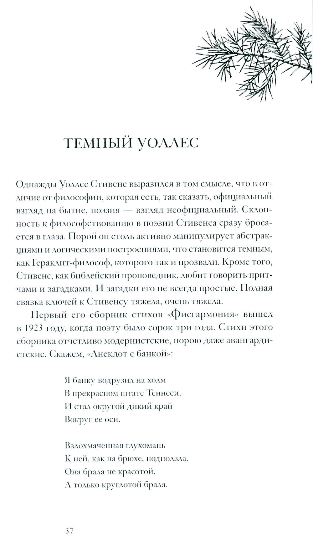 Книга об американской поэзии