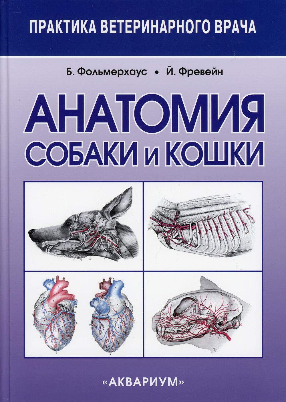 Анатомия собаки и кошки. 2-е изд., испр