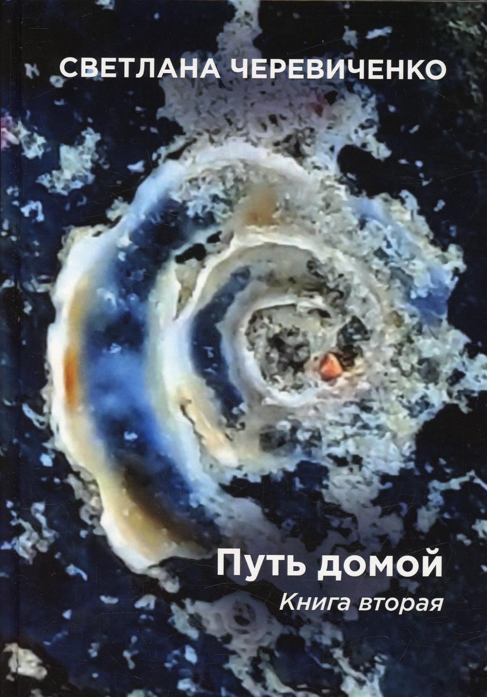 Путь домой. Книга вторая