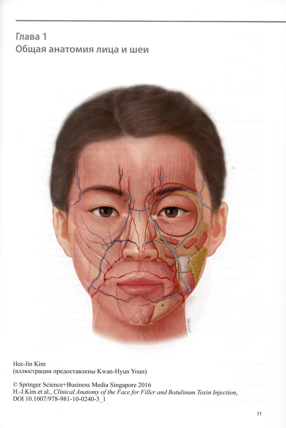 Клиническая анатомия лица применительно к контурной пластике с помощью филлеров и ботулотоксина. 2-е изд
