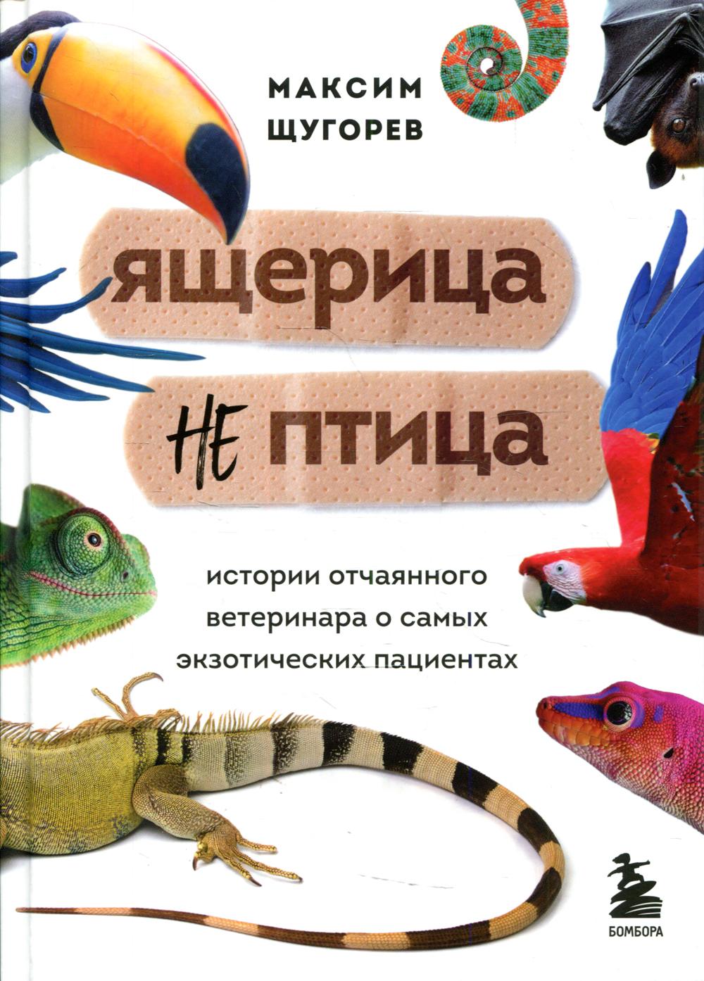 Ящерица не птица. Истории отчаянного ветеринара о самых экзотических пациентах