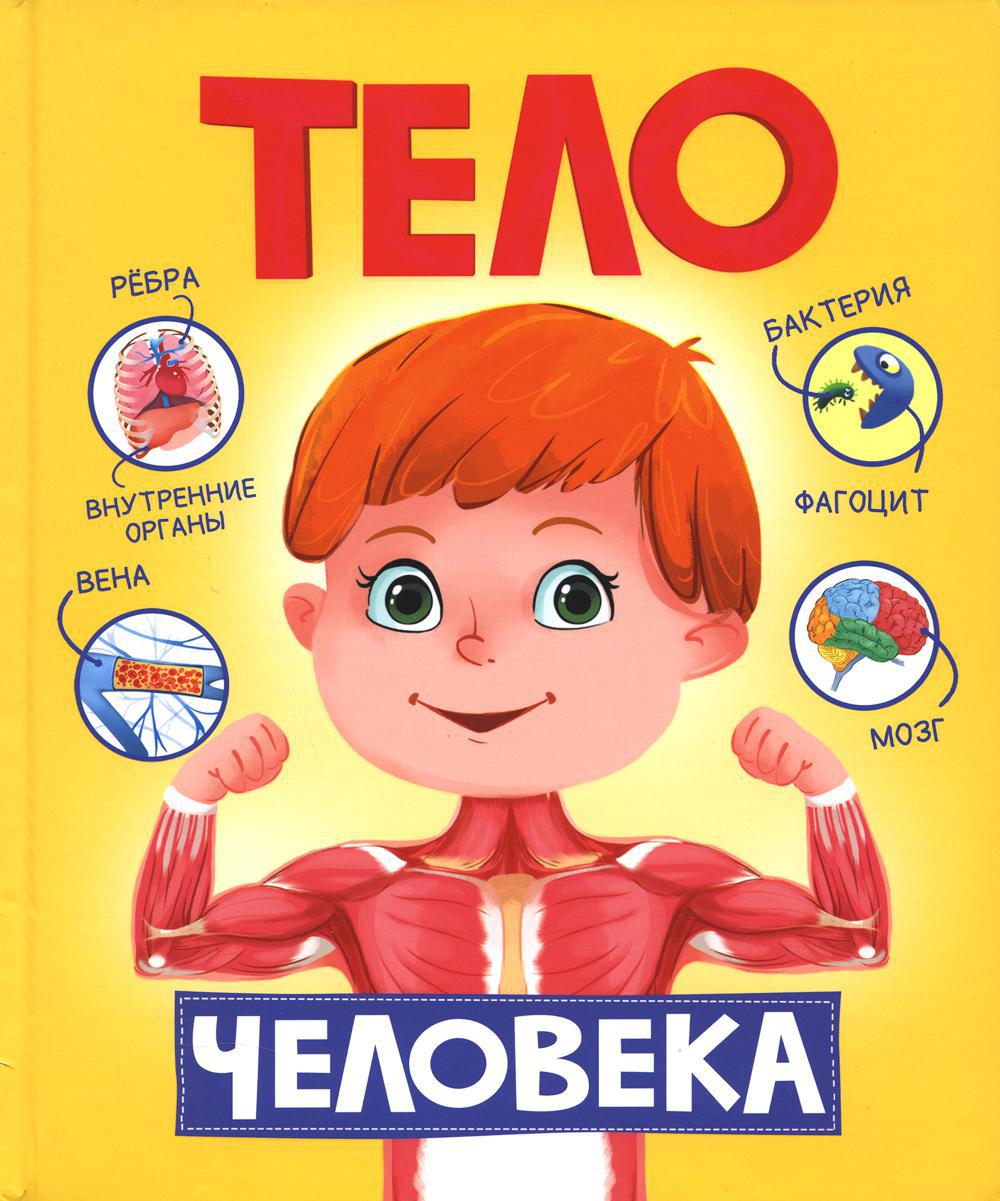 Тело человека