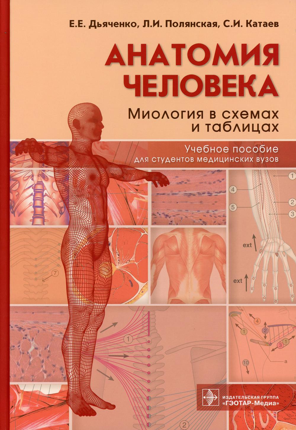 Анатомия человека: миология в схемах и таблицах: Учебное пособие