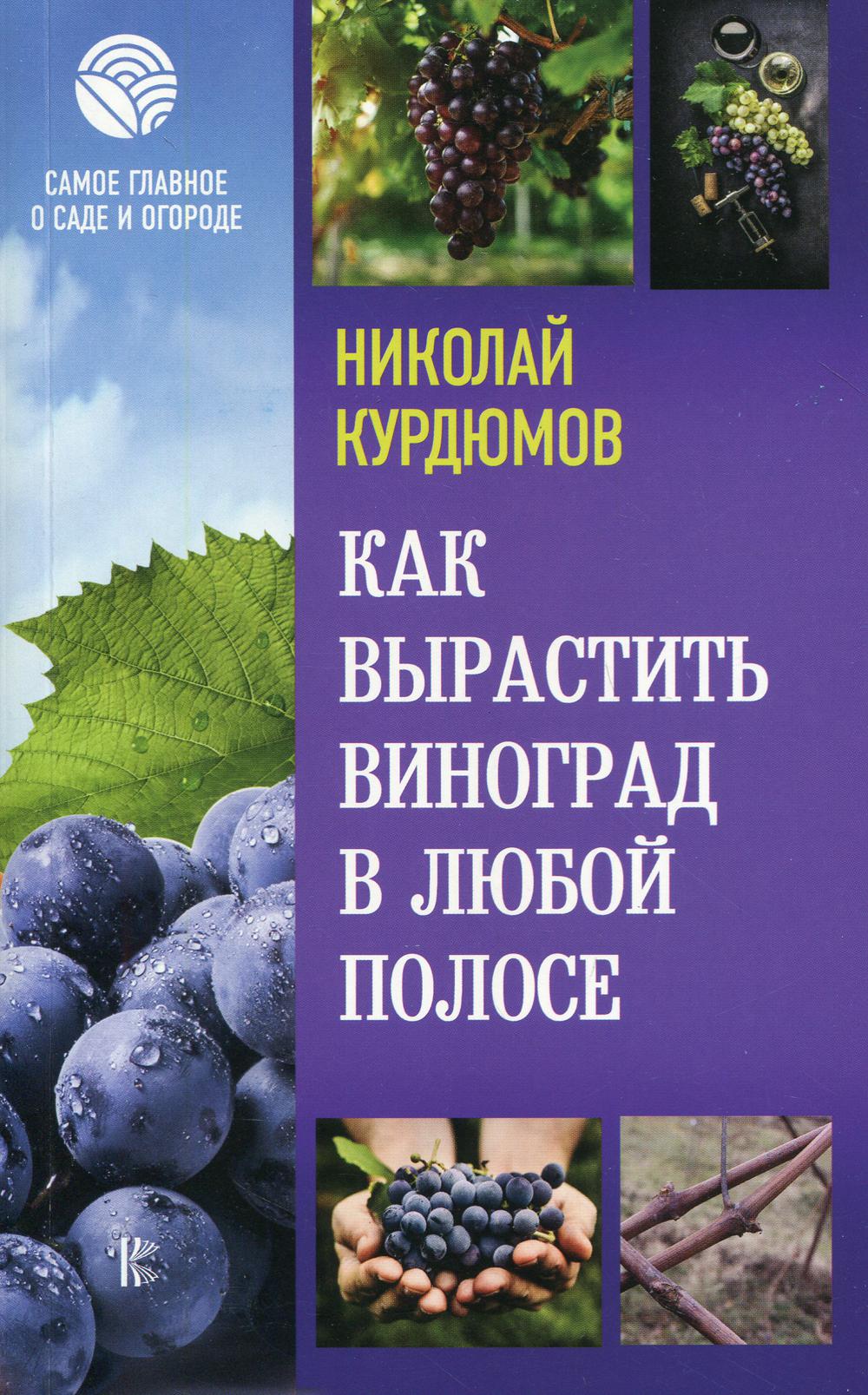 Как вырастить виноград в любой полосе