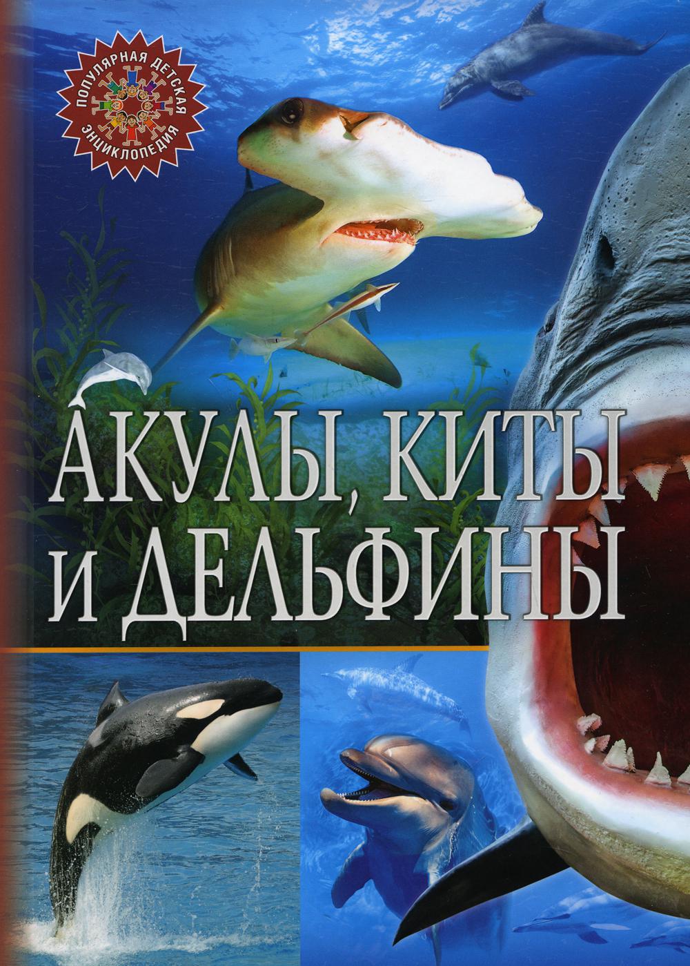 Акулы, киты и дельфины. Популярная детская энциклопедия
