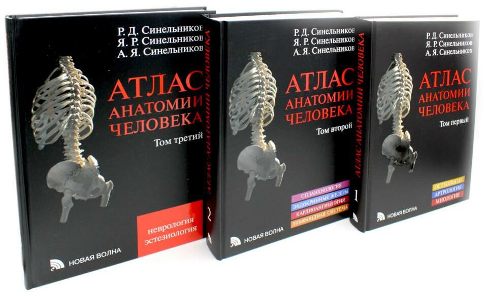Атлас анатомии человека: В 3 т. Комплект
