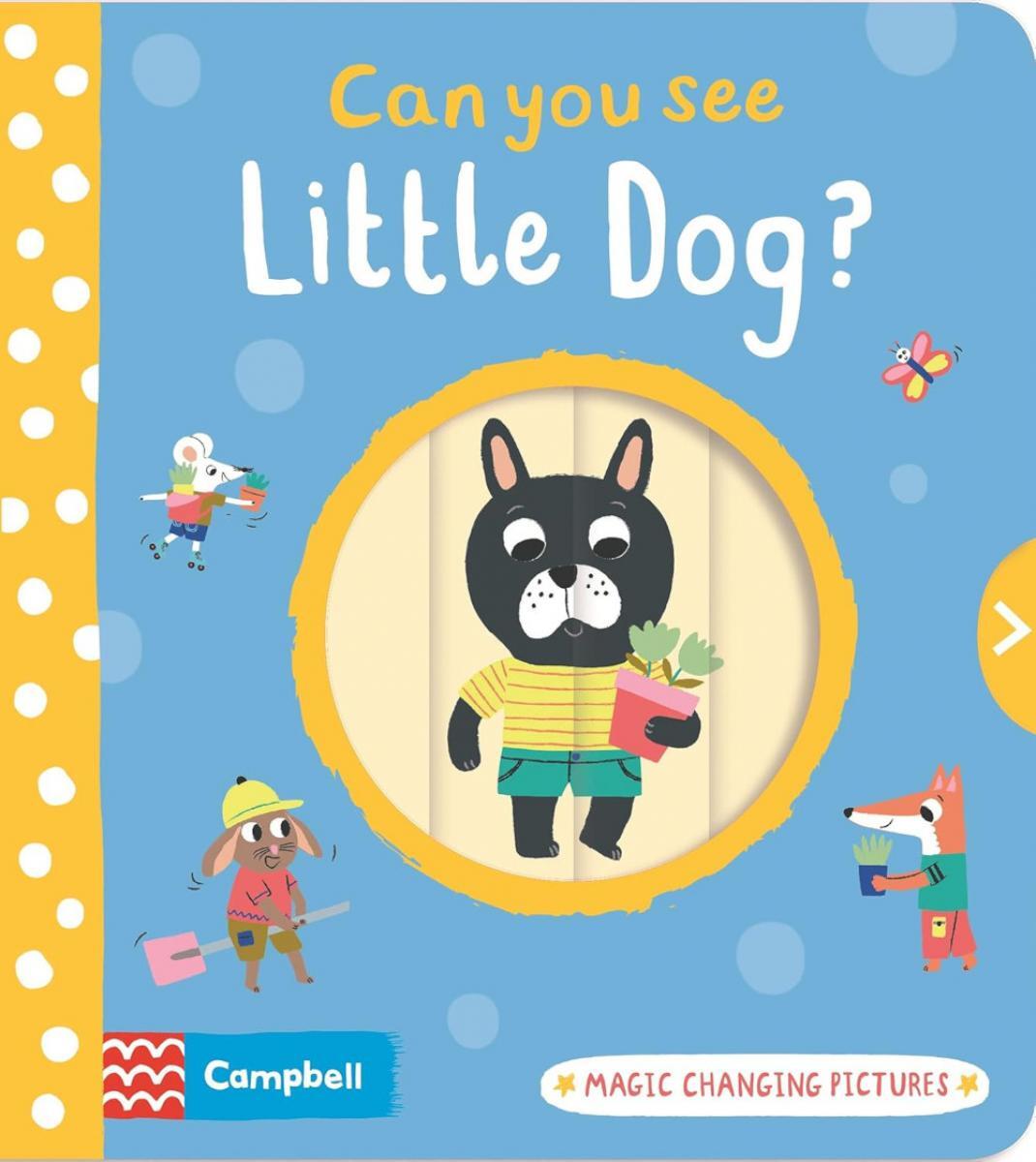 Can You See Little Dog? 