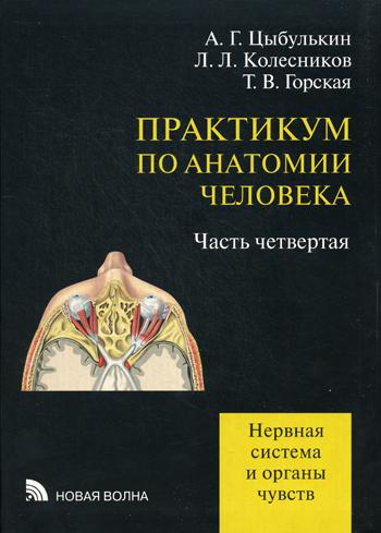 Практикум по анатомии человека: в 4 ч. Ч. 4: Нерная система и органы чувств