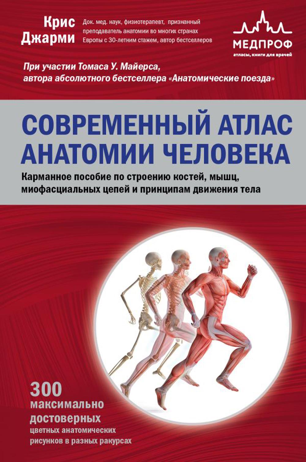 Современный атлас анатомии человека: карманное пособие по строению костей, мышц, миофасциальных цепей и принципам движения тела