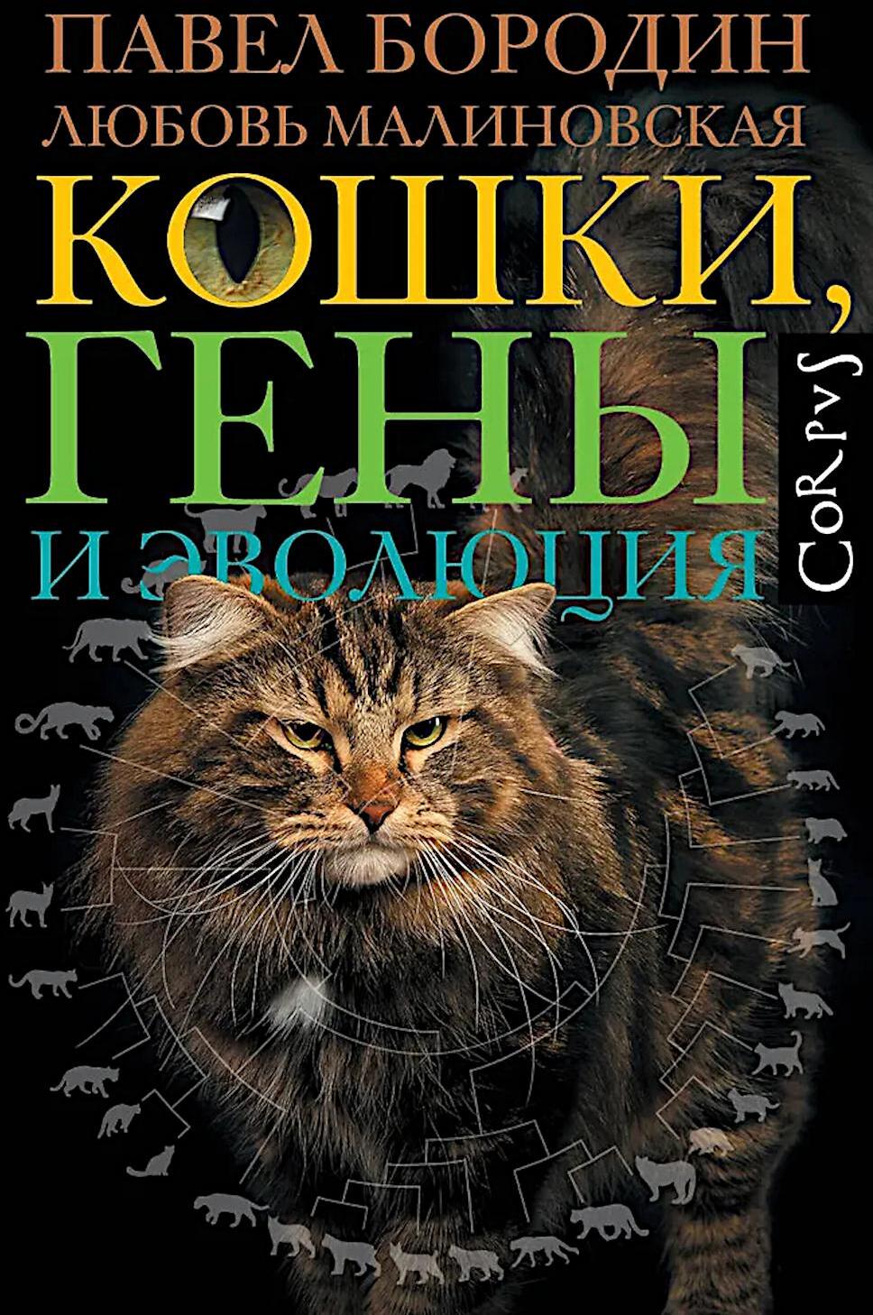 Кошки, гены и эволюция