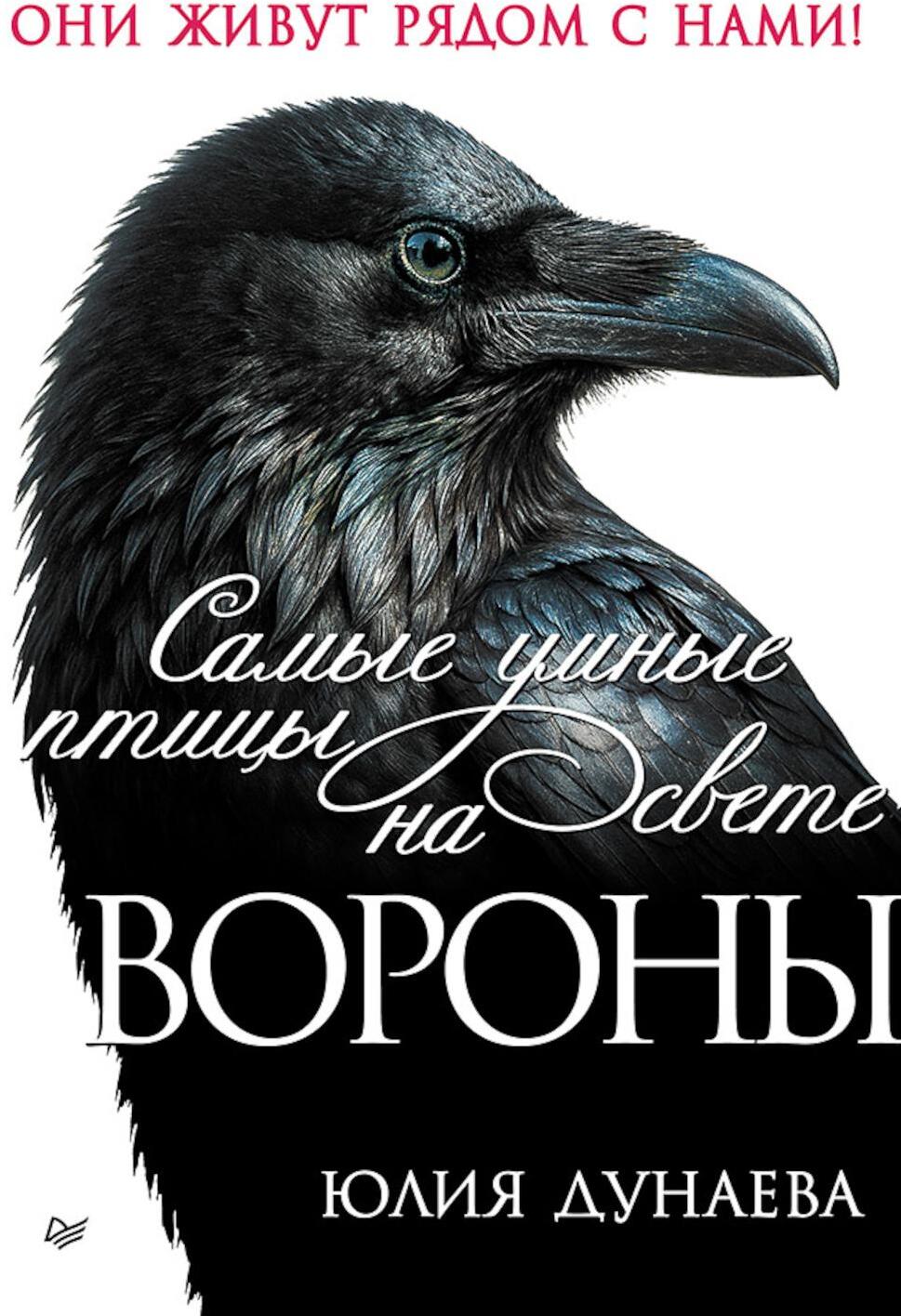 Самые умные птицы на свете. Вороны