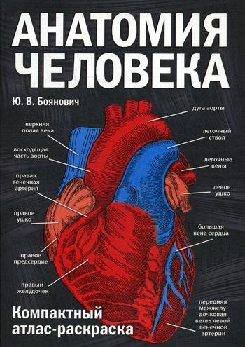 Анатомия человека: компактный атлас-раскраска