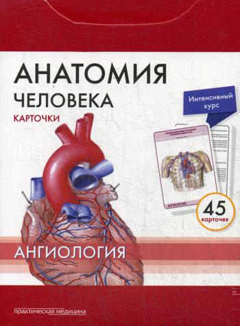 Анатомия человека: Карточки. (45шт). Ангиология