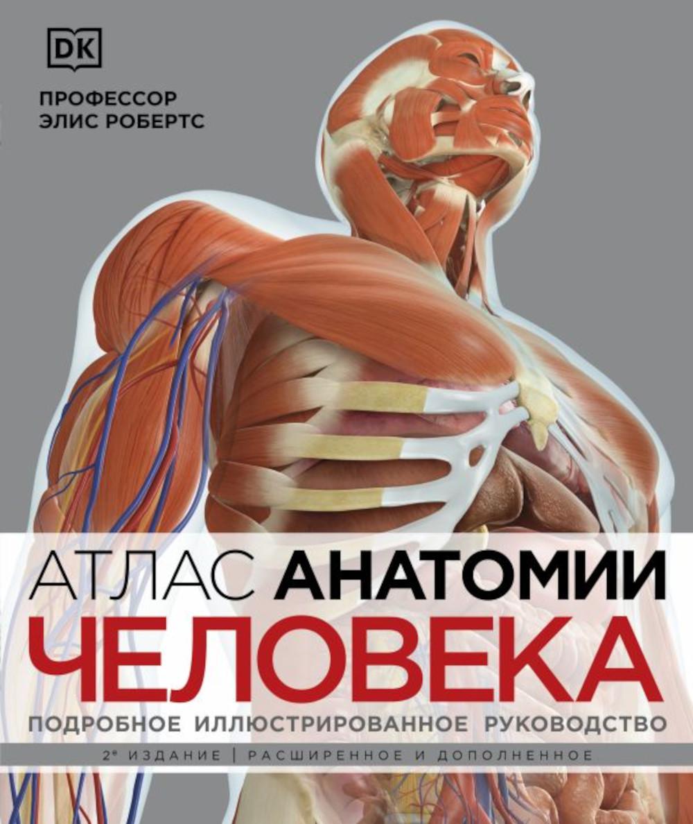 Атлас анатомии человека: подробное иллюстрированное руководство