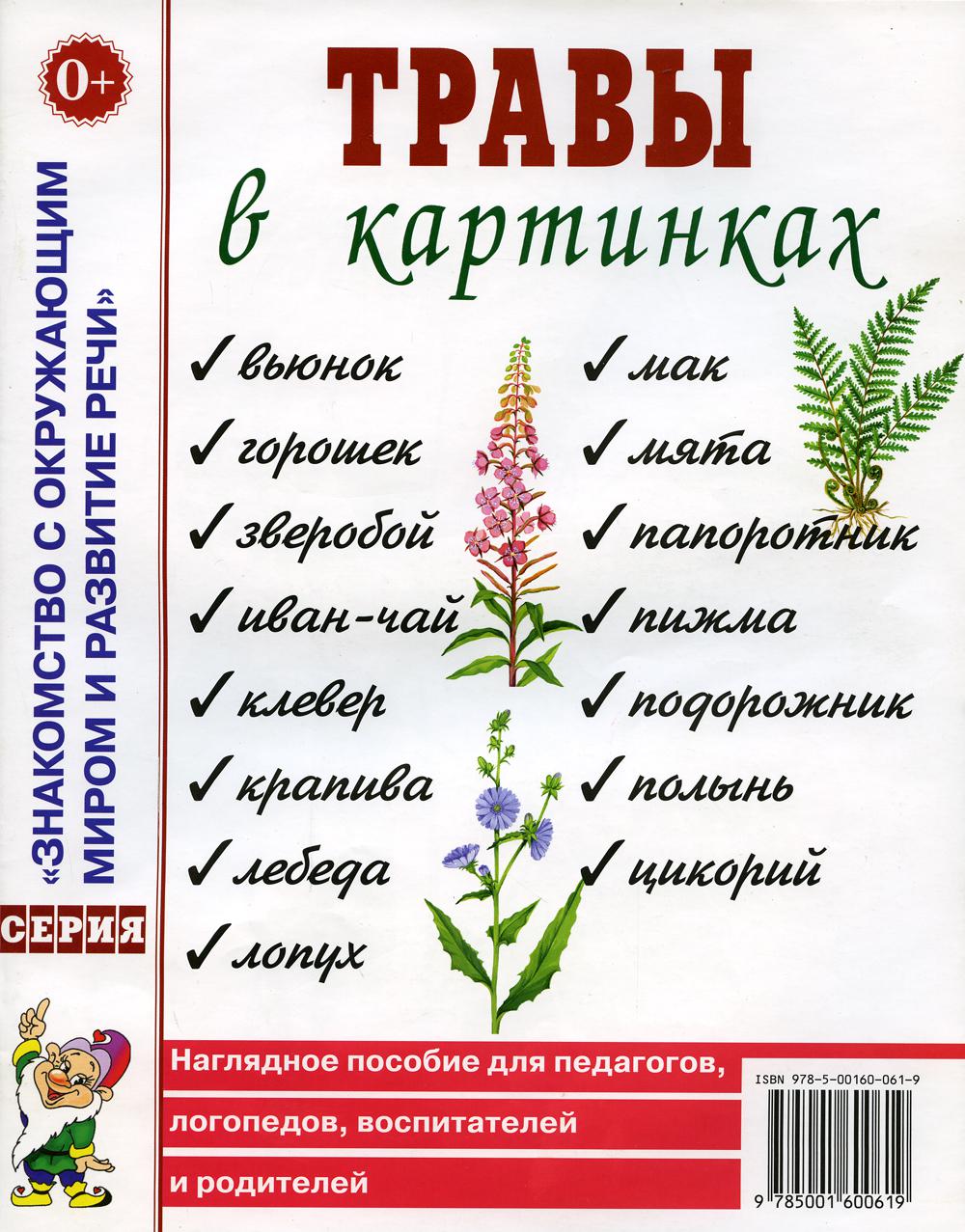 Книга «Травы в картинках. Наглядное пособие для логопедов, педагогов,  воспитателей и родителей» (Кулакова Н.) — купить с доставкой по Москве и  России