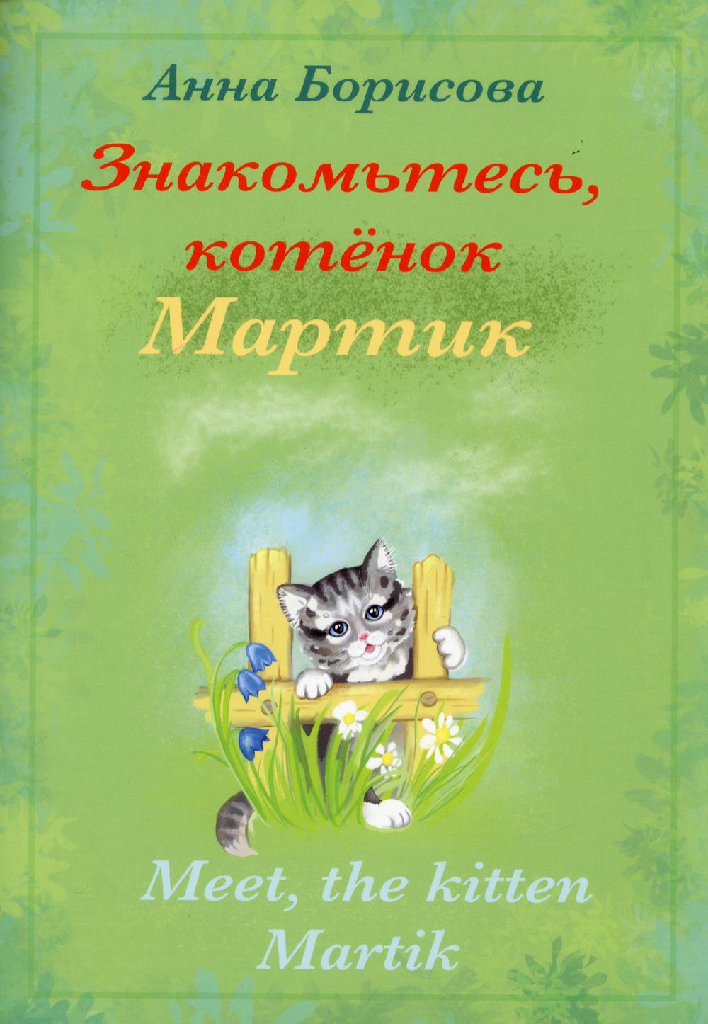 Знакомьтесь, котенок Мартин