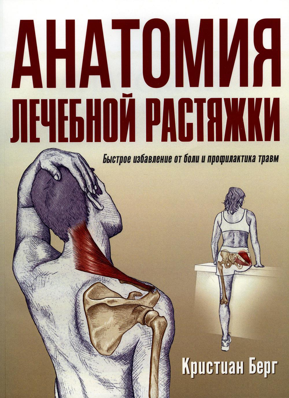 Анатомия лечебной растяжки: быстрое избавление от боли и профилактика травм