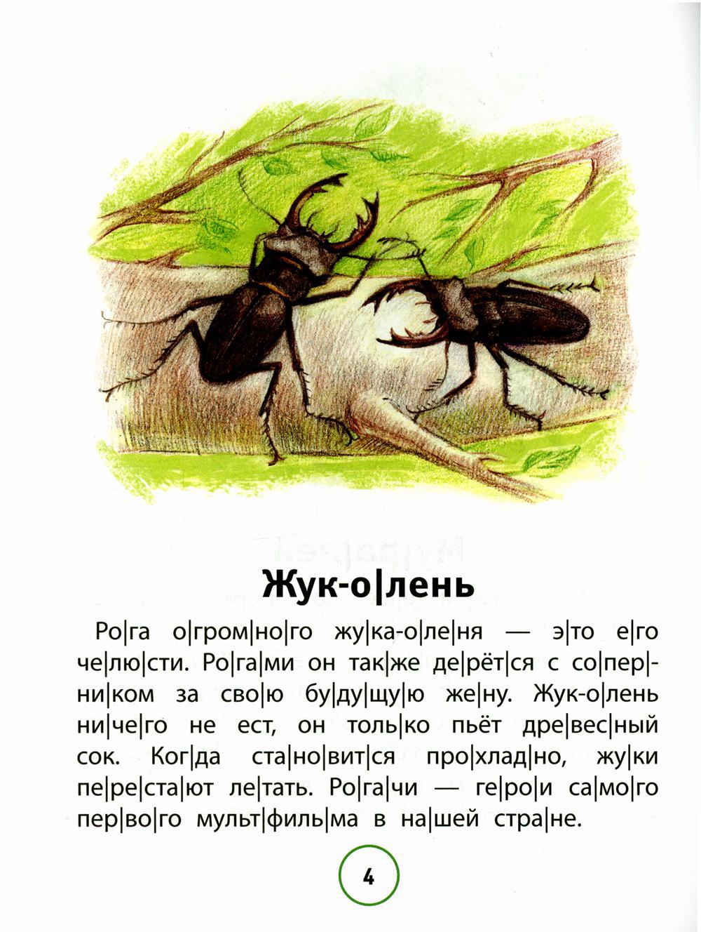 Познавательные тексты для чтения: насекомые