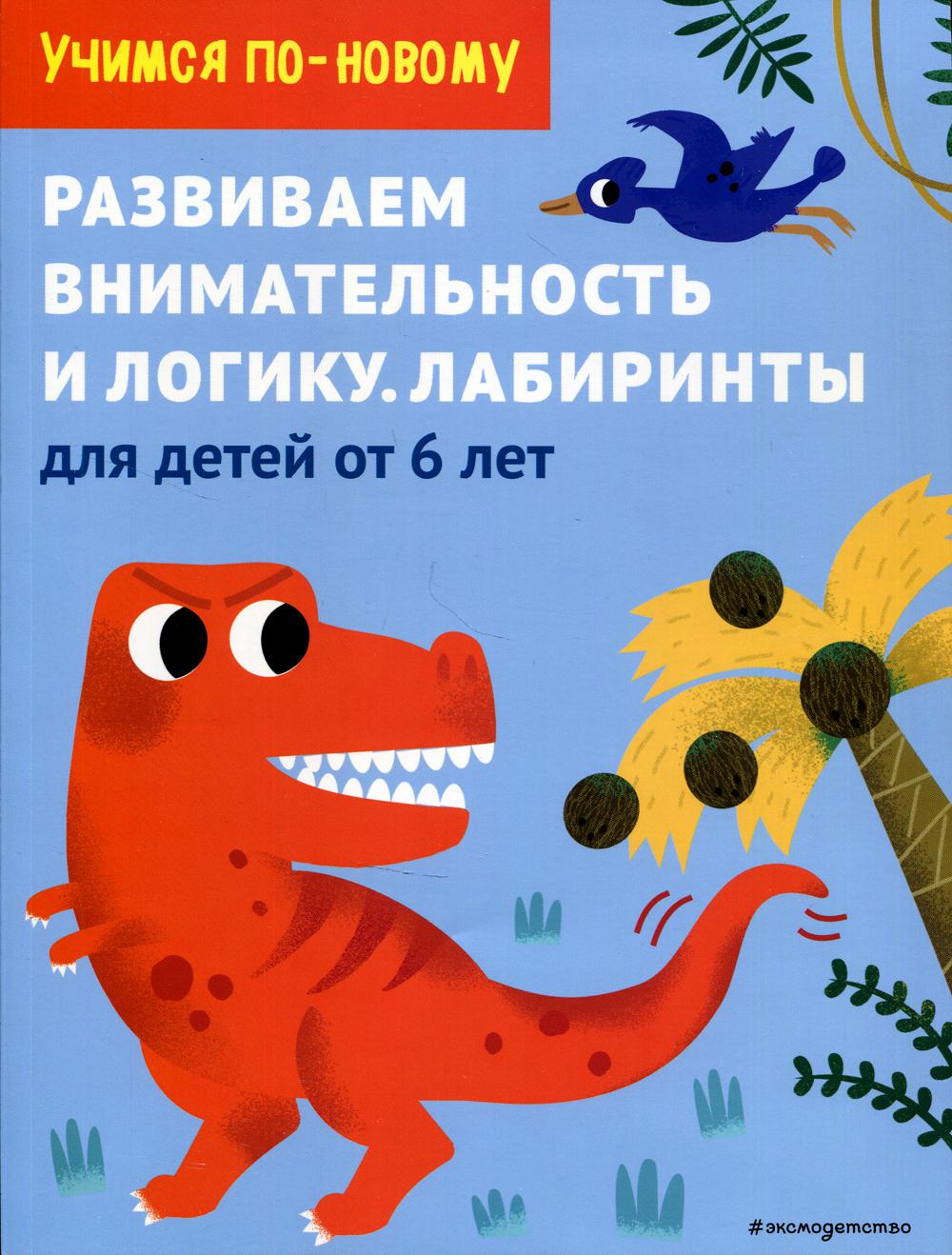 Развиваем внимательность и логику. Лабиринты: для детей от 6 лет