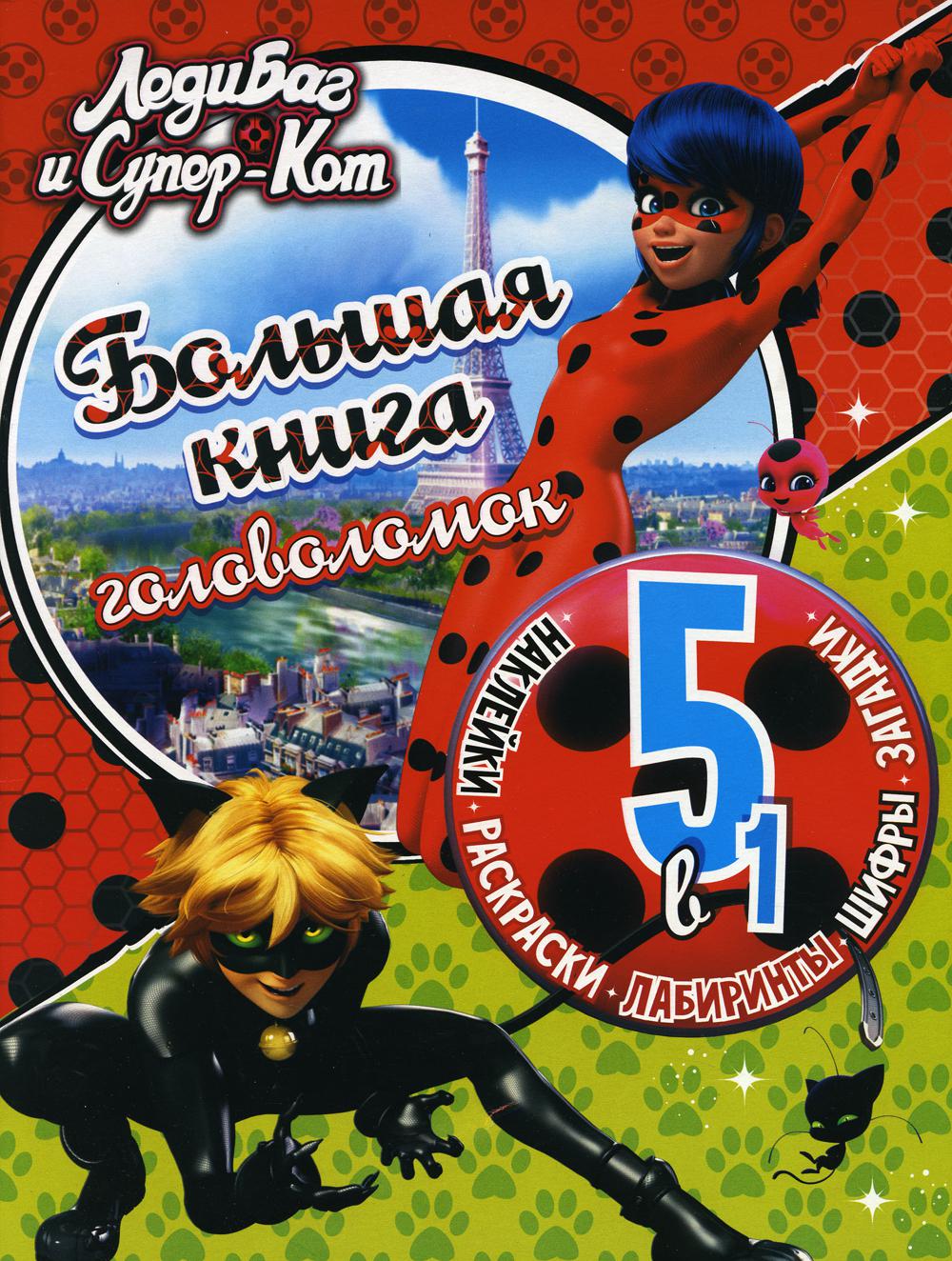 Большая книга головоломок 5 в 1 (с наклейками)