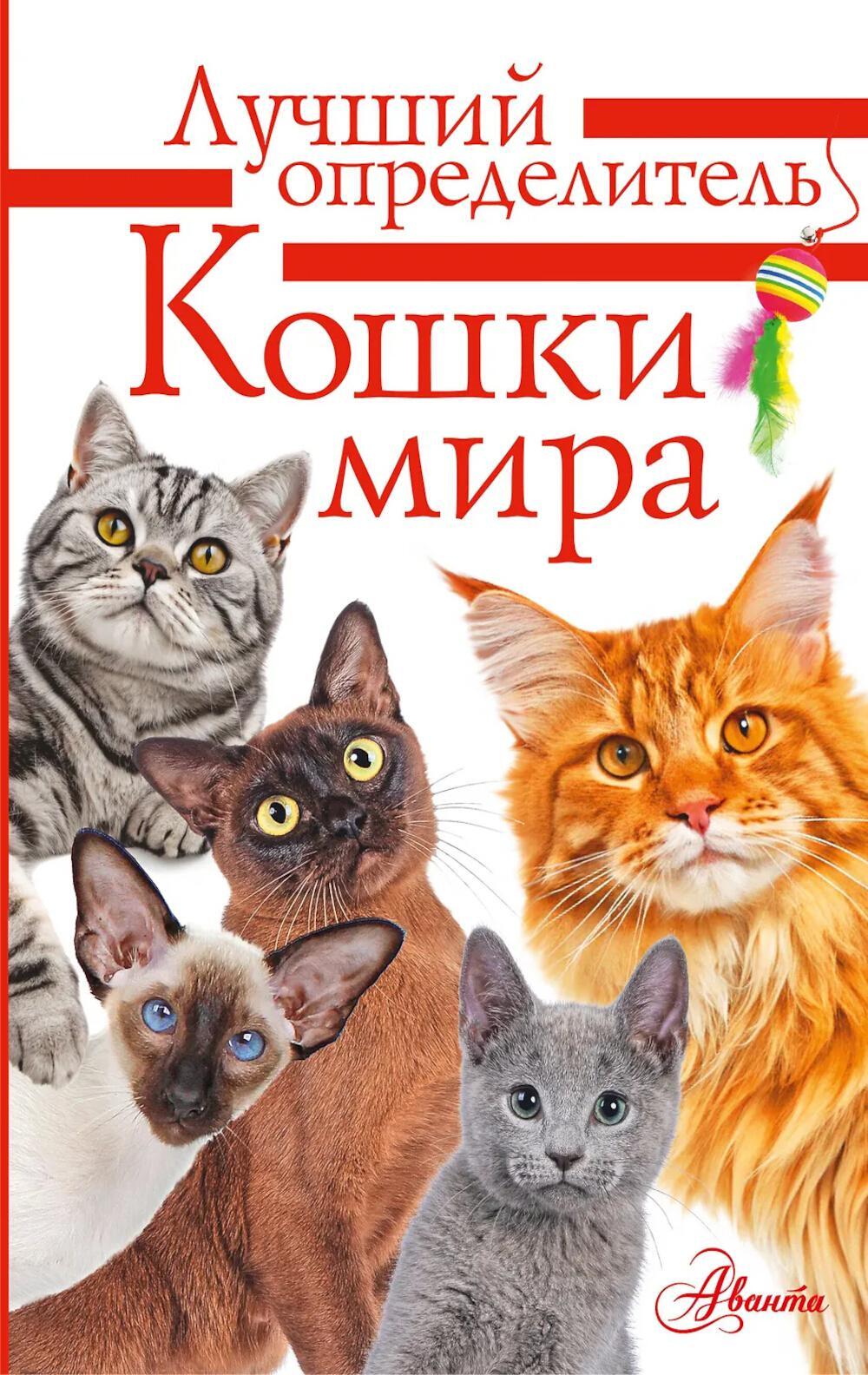 Кошки мира. Определитель