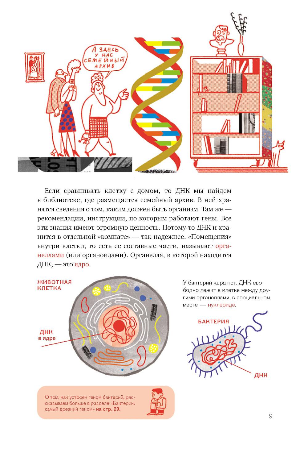 Расплетая ДНК: увлекательный путеводитель по генетике