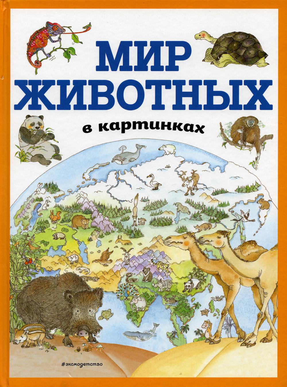 Мир животных в картинках