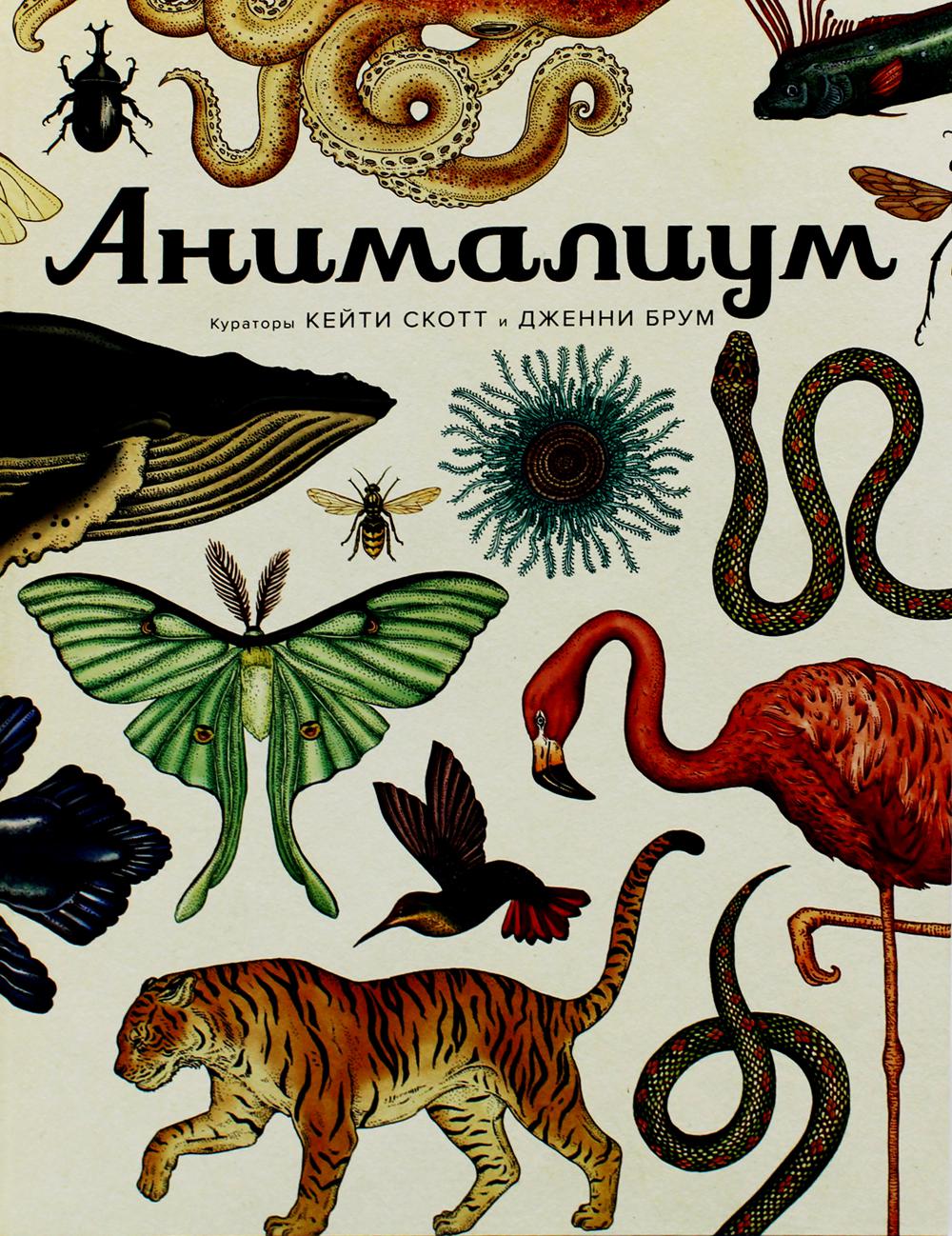 Анималиум