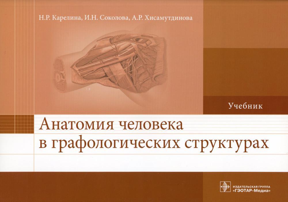 Анатомия человека в графологических структурах: Учебник