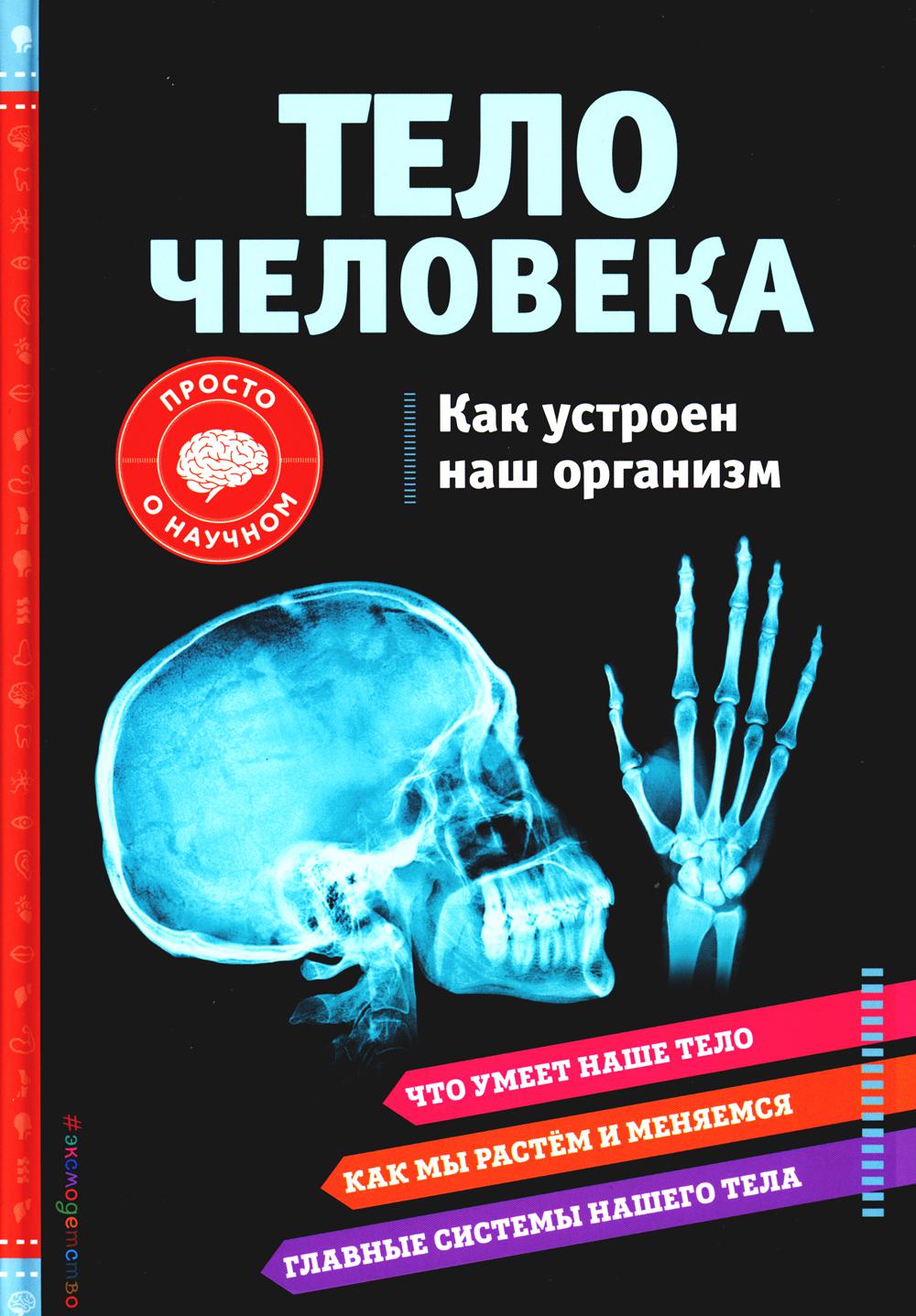 Тело человека. Как устроен наш организм