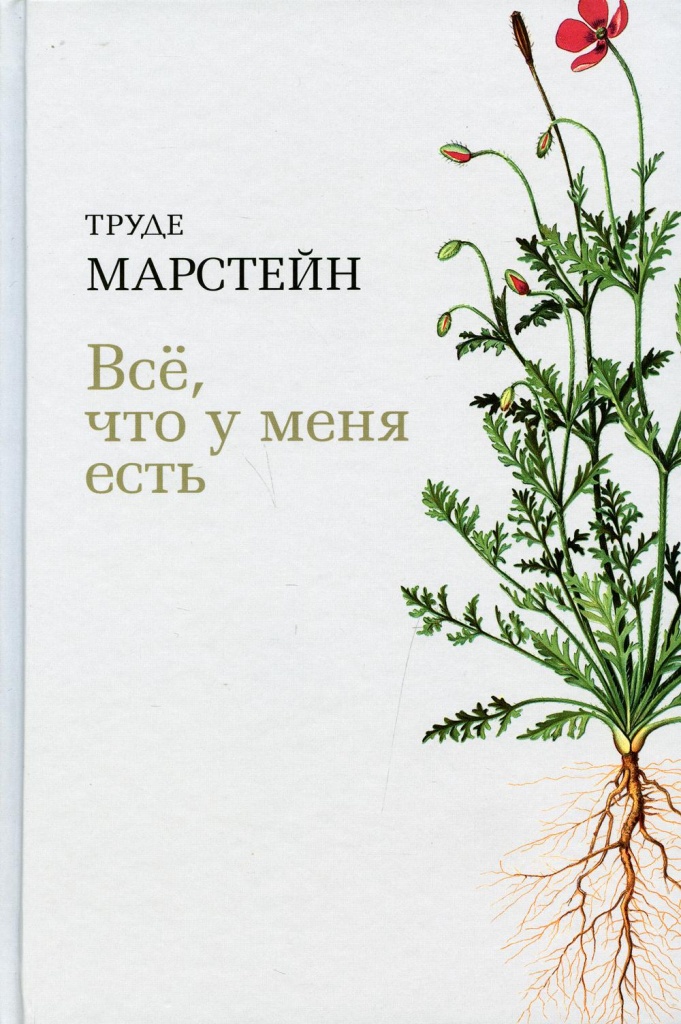 все что у меня есть