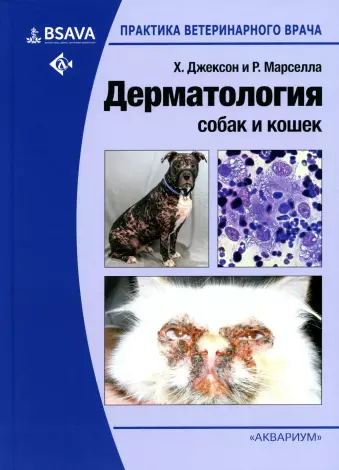 Овчарка - слова из 5 букв - ответ на сканворд или кроссворд