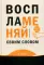 Воспламеняй своим словом. 6 правил выдающегося выступления от лучших спикеров TED Talks