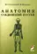 Анатомия соединений костей: Учебное пособие. 17-е изд., перераб. и доп