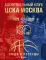 Баскетбольный клуб ЦСКА Москва. 100 лет. Люди и легенды