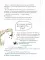 Происхождение человека