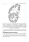 Private neurology: study guide. Частная неврология : учебное пособие