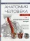 Анатомия человека: атлас: Учебное пособие: В 3 т. Т. 1: Опорно-двигательный аппарат