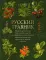 Русский травник. Подробное описание трав, корней и цветов, употреблявшихся для полного излечения различных болезней и недугов в России