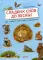 Сладких снов до весны! Как зимуют животные и насекомые